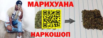 сатива Славгород