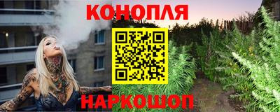 сатива Славгород