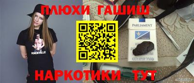 сатива Славгород