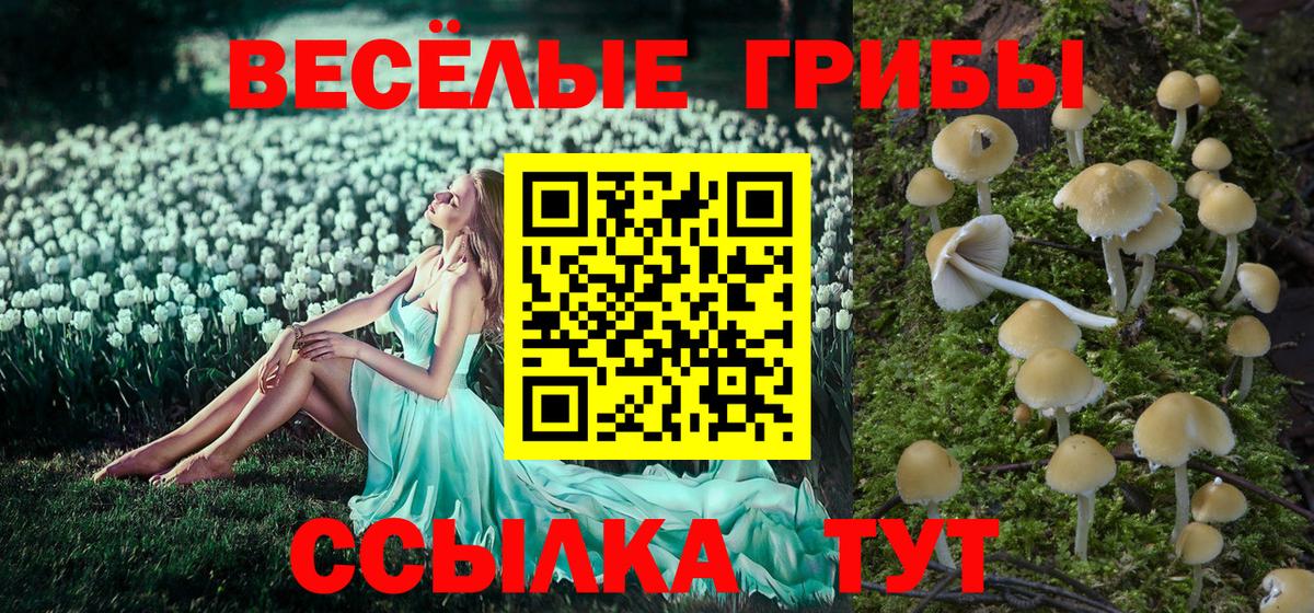 Орехово-Зуево  Псилоцибиновые грибы GOLDEN TEACHER  Псилоцибиновые грибы Psilocybe  Вход с VPN 